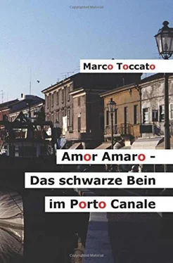 Marco Toccato Amor Amaro - Das schwarze Bein im Porto Canale обложка книги