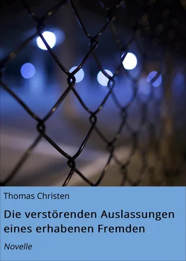 Thomas Christen Die verstörenden Auslassungen eines erhabenen Fremden обложка книги
