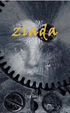 Enza Renkal Das Ziada Projekt обложка книги