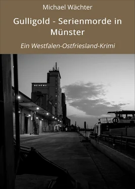 Michael Wächter Gulligold - Serienmorde in Münster обложка книги