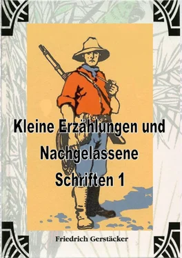 Friedrich Gerstäcker Kleine Erzählungen und Nachgelassene Schriften 1 обложка книги