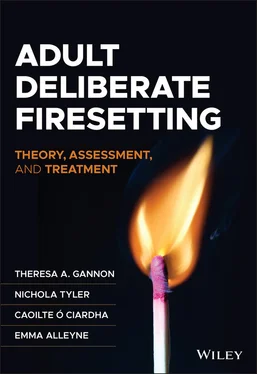 Theresa A. Gannon Adult Deliberate Firesetting обложка книги