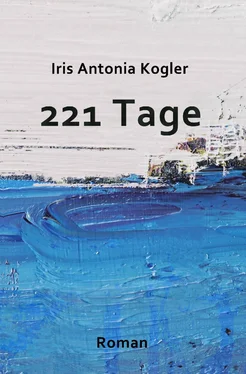 Iris Antonia Kogler 221 Tage обложка книги