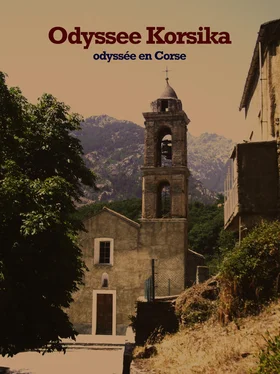 Matthias Arndt Odyssee Korsika обложка книги