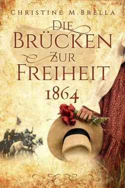 Christine M. Brella Die Brücken zur Freiheit - 1864 обложка книги