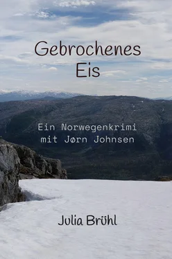 Julia Yovanna Susanne Brühl Gebrochenes Eis обложка книги