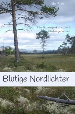 Julia Susanne Yovanna Brühl Blutige Nordlichter обложка книги