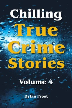 Dylan Frost Chilling True Crime Stories - Volume 4 обложка книги