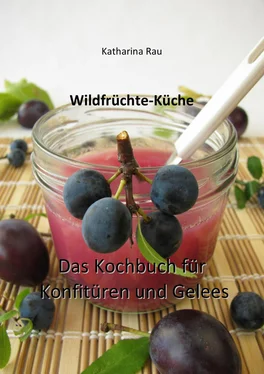 Katharina Rau Wildfrüchte-Küche: Das Kochbuch für Konfitüren und Gelees обложка книги