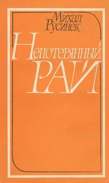 Михал Русинек Непотерянный рай обложка книги