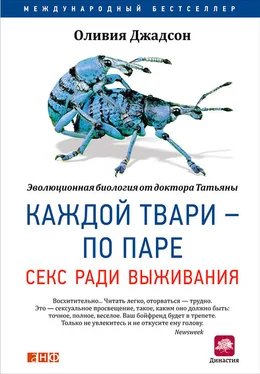 Оливия Джадсон Каждой твари – по паре: Секс ради выживания обложка книги