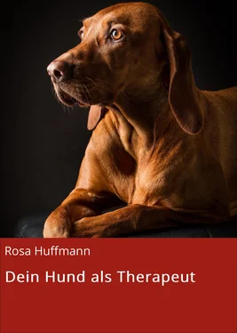 Rosa Huffmann Dein Hund als Therapeut обложка книги