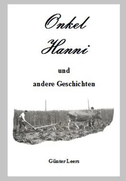 Günter Leers Onkel Hanni обложка книги