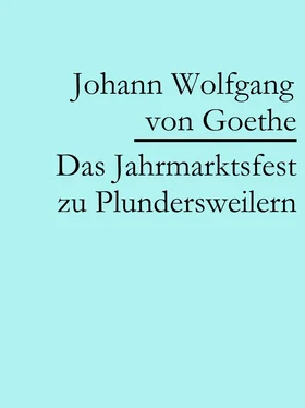 Johann Wolfgang von Goethe Das Jahrmarktsfest zu Plundersweilern обложка книги
