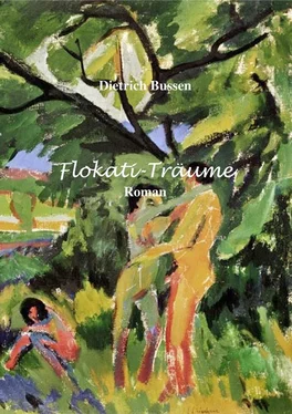 Dietrich Bussen Flokati-Träume обложка книги