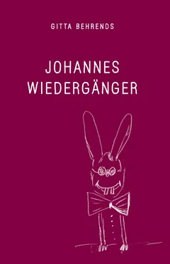 Brigitte Pyka-Behrends Johannes Wiedergänger обложка книги