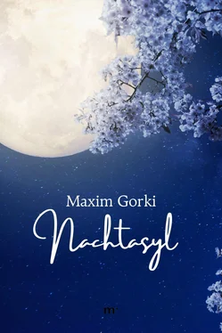 Maxim Gorki Nachtasyl обложка книги