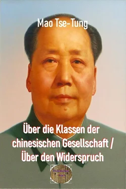 Mao Tse-Tung Über die Klassen der chinesischen Gesellschaft / Über den Widerspruch обложка книги