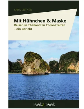 Sara Leitner Mit Hühnchen und Maske обложка книги