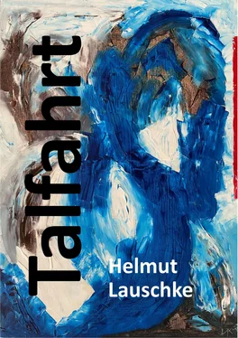 Helmut Lauschke Talfahrt обложка книги