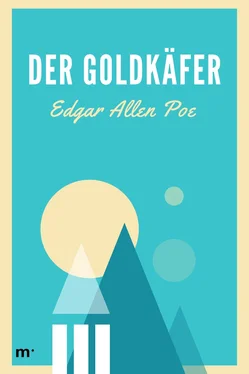 Edgar Allan Poe Der Goldkäfer обложка книги