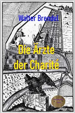 Walter Brendel Die Ärzte der Charité обложка книги