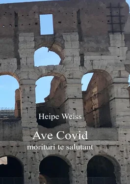 Heipe Weiss Ave Covid morituri te salutant обложка книги