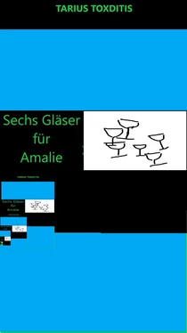 Tarius Toxditis Sechs Gläser für Amalie обложка книги