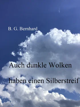 B. G. Bernhard Auch dunkle Wolken haben einen Silberstreif обложка книги