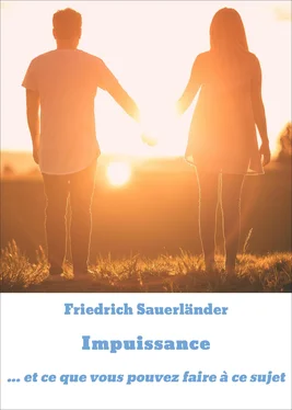 Friedrich Sauerländer Impuissance обложка книги
