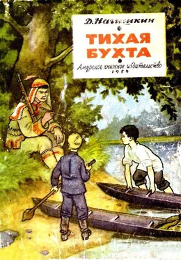 Дмитрий Нагишкин Тихая бухта (Художник Г. Алимов) обложка книги