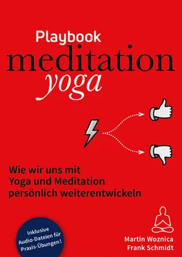 Frank Schmidt meditationyoga playbook обложка книги