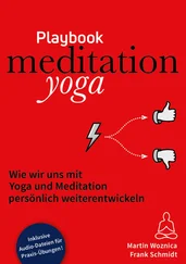Frank Schmidt - meditationyoga playbook