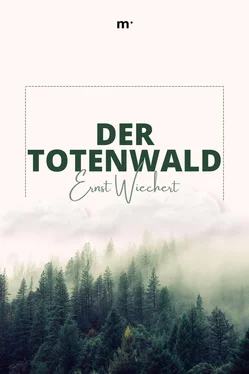 Ernst Wiechert Im Totenwald обложка книги