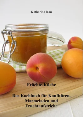 Katharina Rau Früchte-Küche: Das Kochbuch für Konfitüren, Marmeladen und Fruchtaufstriche обложка книги