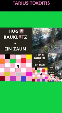 Tarius Toxditis Hugo Bauklotz - Ein Zaun обложка книги