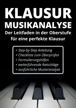 Matthias Schwarz Klausur: Musikanalyse обложка книги