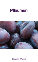 Claudia Wendt - Pflaumen