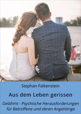 Stephan Falkenstein Aus dem Leben gerissen обложка книги