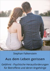 Stephan Falkenstein - Aus dem Leben gerissen