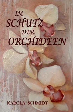 Karola Schmidt Im Schutz der Orchideen обложка книги