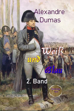 Alexandre Dumas d.Ä. Weiß und Blau, 2. Band обложка книги