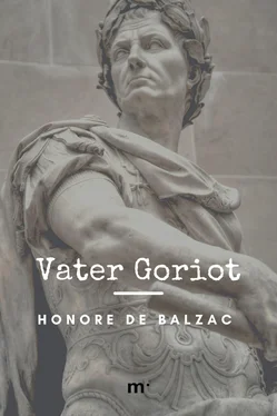 Honoré Balzac Vater Goriot обложка книги