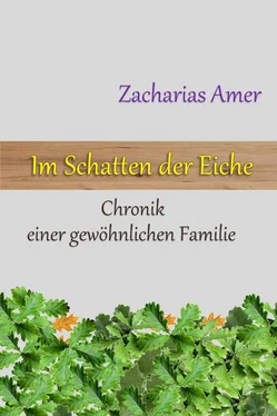 Zacharias Amer Im Schatten der Eiche обложка книги