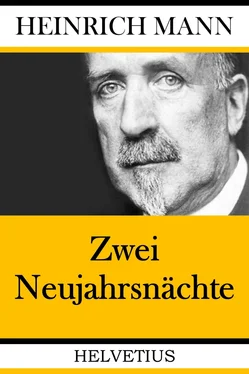 Heinrich Mann Zwei Neujahrsnächte обложка книги