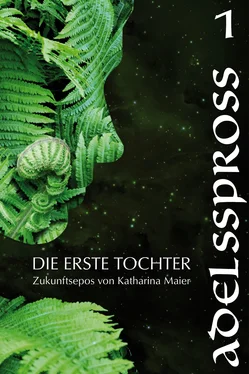Katharina Maier Adelsspross обложка книги