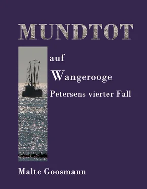 Malte Goosmann Mundtot auf Wangerooge обложка книги