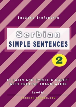 Snezana Stefanovic Serbian: Simple Sentences 2 обложка книги