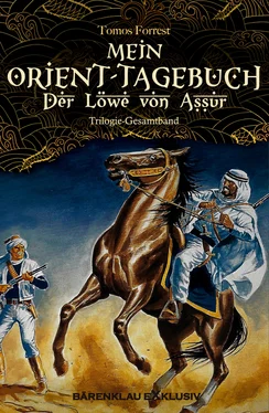 Tomos Forrest Mein Orient-Tagebuch: Der Löwe von Aššur обложка книги