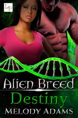Melody Adams - Destiny